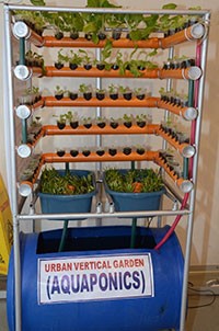 Urban vertical garden