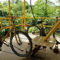 bamboo-bike