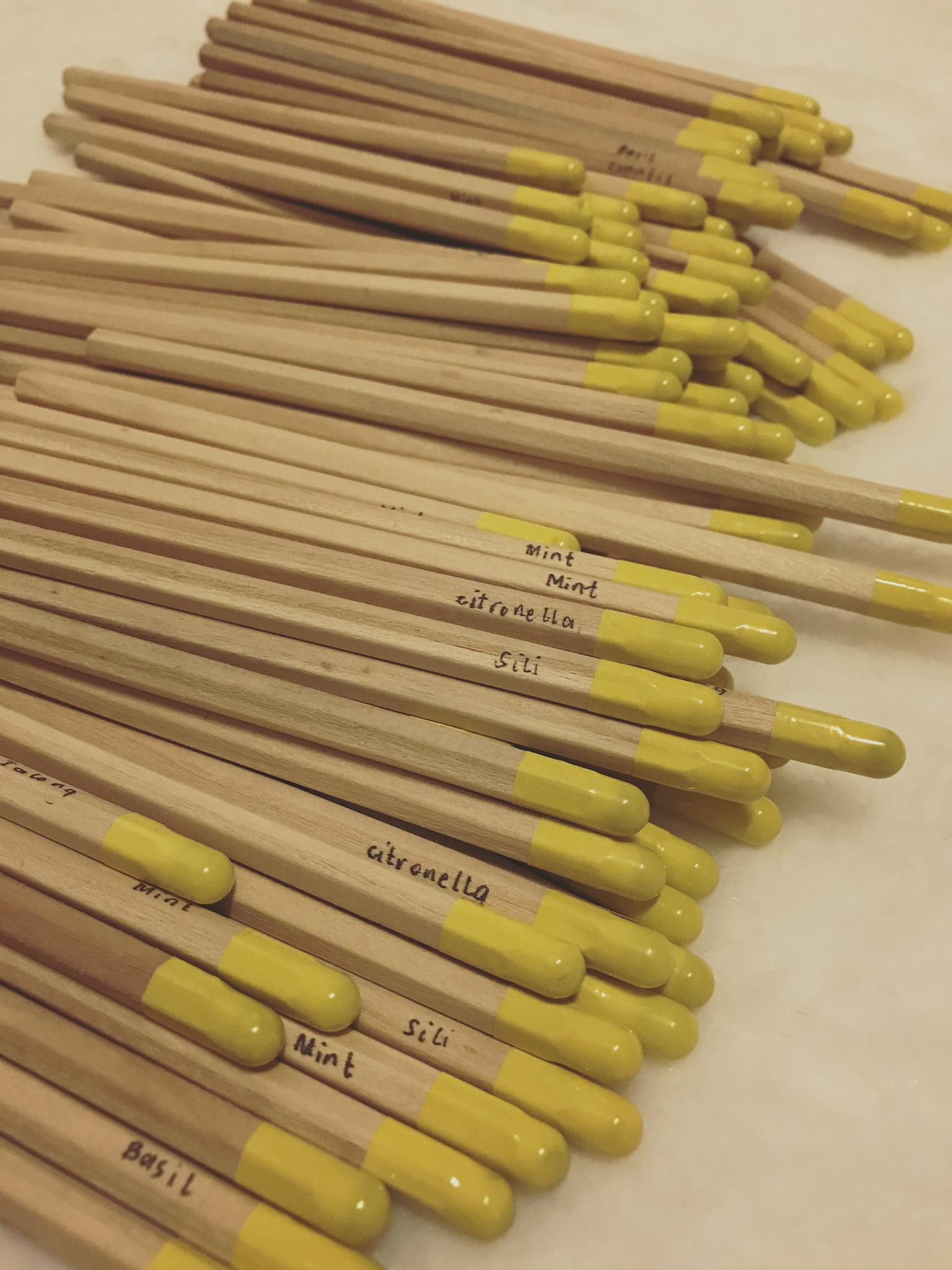 Cebu Eco Hub Plantable Pencils
