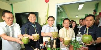Philippines' young coconuts