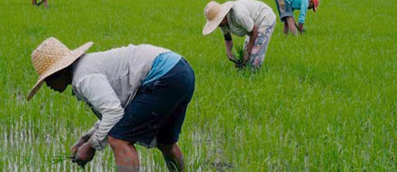 Bataan farmers three-pronged program