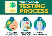 COVID-19 Testing Process