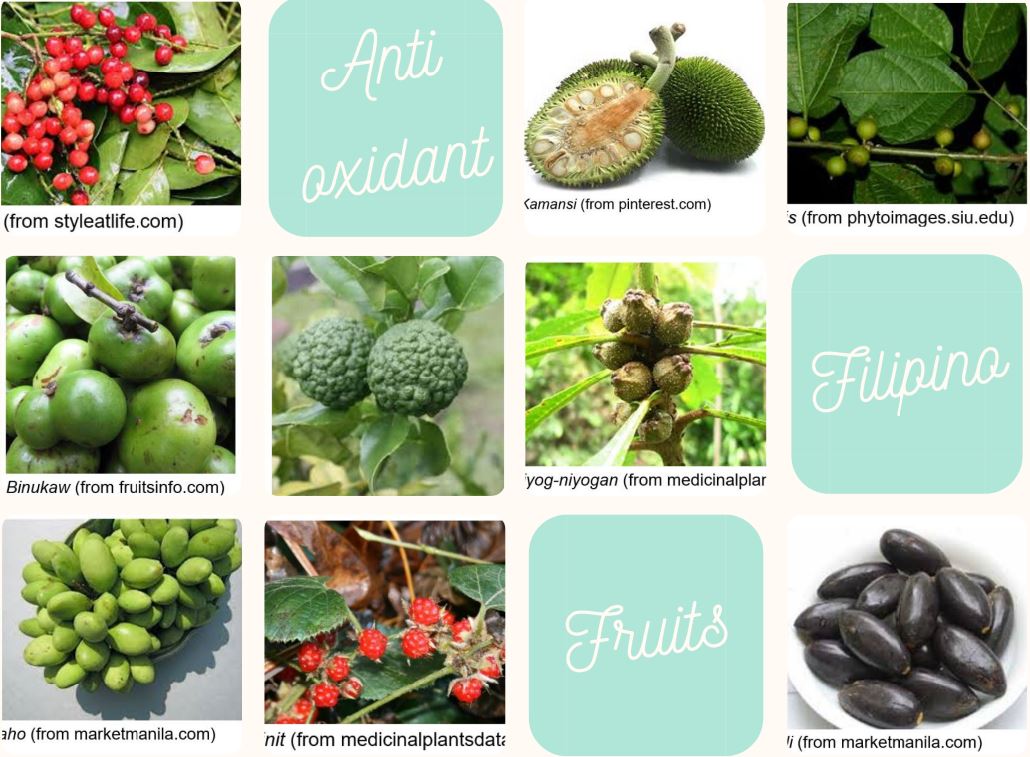 Philippine Fruits Disease-Fighting Antioxidants