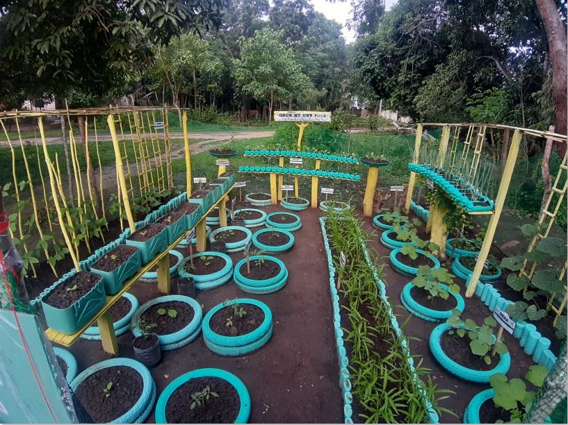 Bohol Communal Garden project