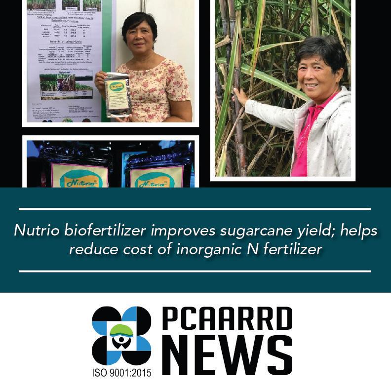 UP scientist bio-fertilizer sugarcane 