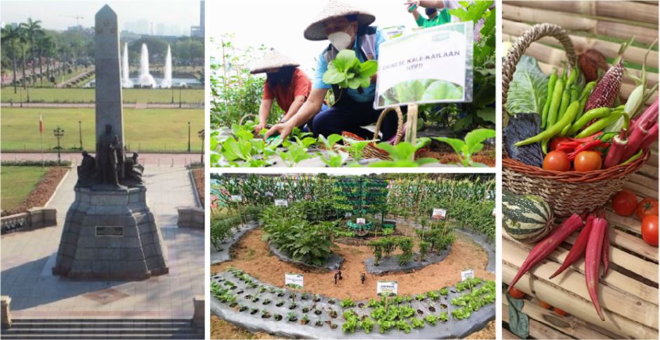 Manila's Rizal Park Edible garden blooms