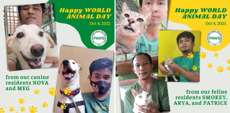 Philippine Animal Welfare Societ World Animal Day