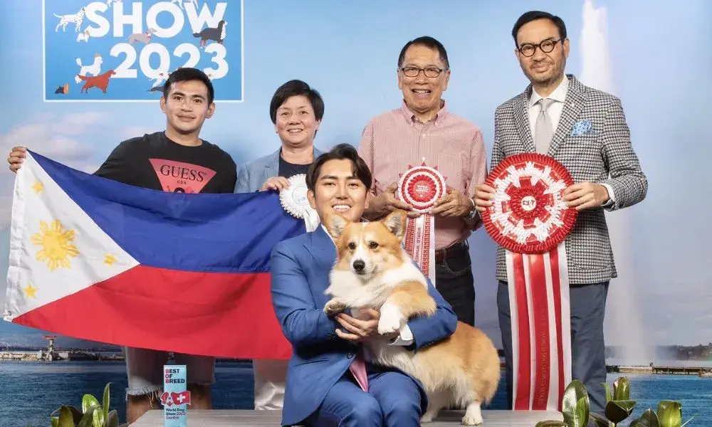 Dalbong's Triumph World Dog Show
