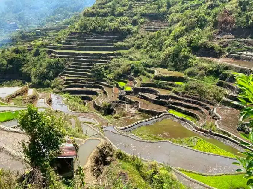 Maligcong Rice Terraces National Cultural Treasure 