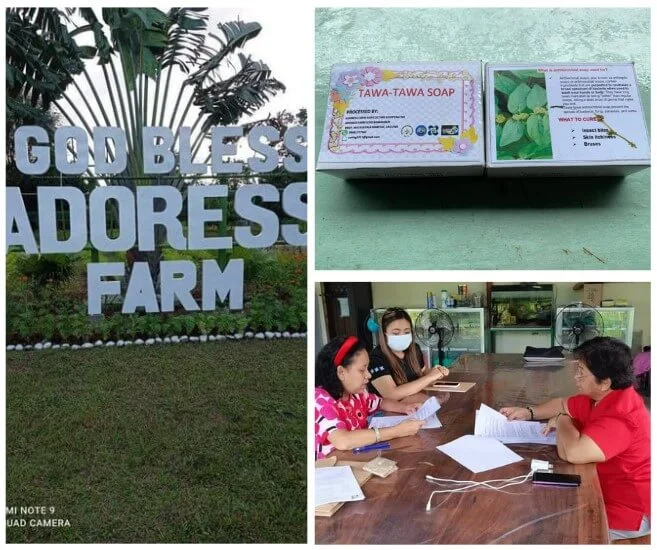 Science & Technology Agro-Forest Farm