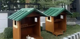 Outdoor cat shelters